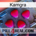 Kamgra 13